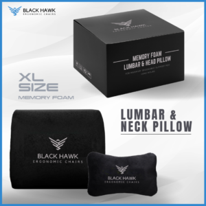 Memory Foam Pillow