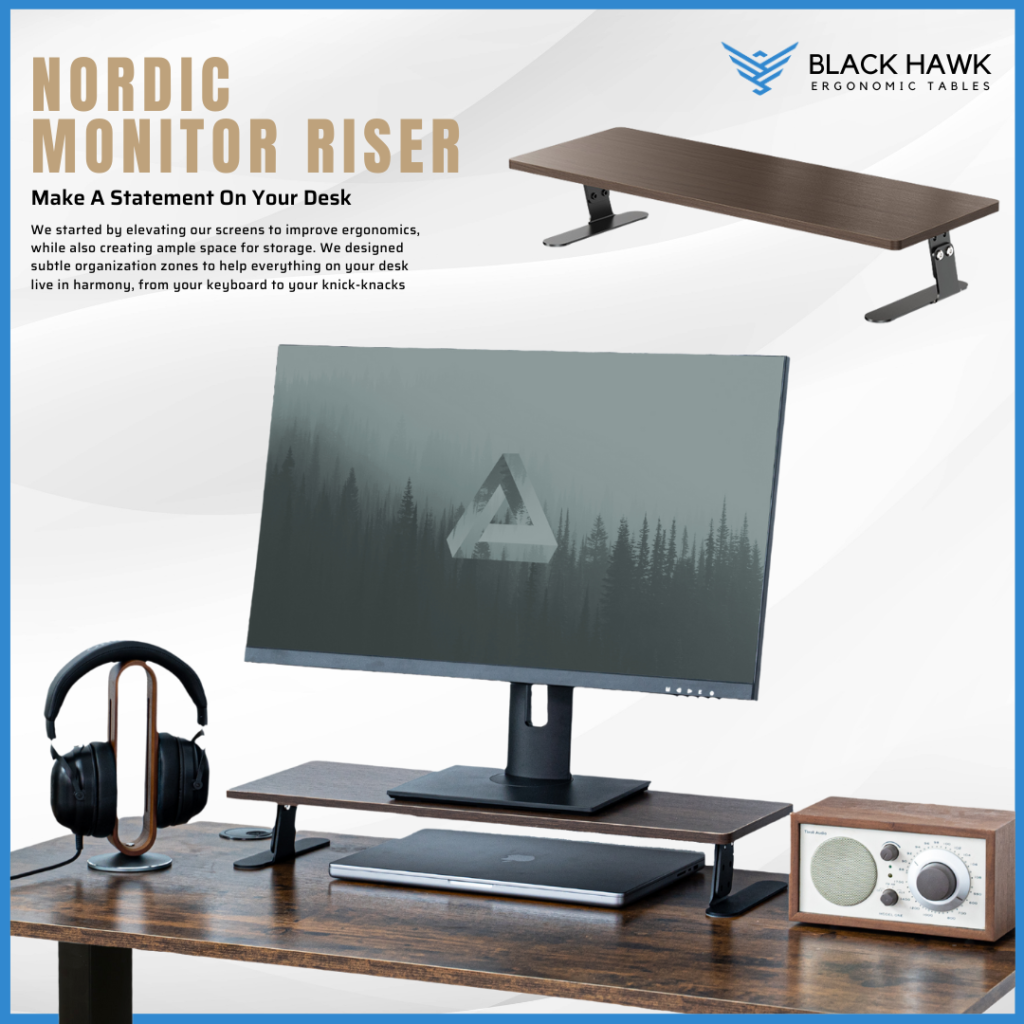 Monitor Riser